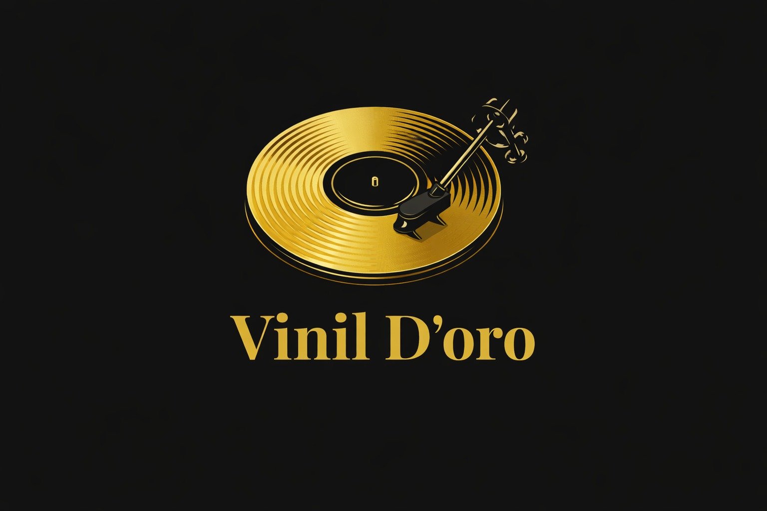 Disco de Vinil
